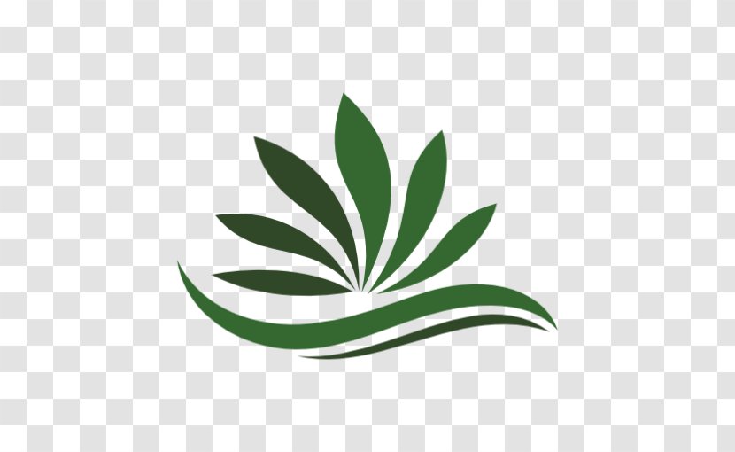 SpeedWeed Medical Cannabis Shop Dispensary - Speedweed Transparent PNG