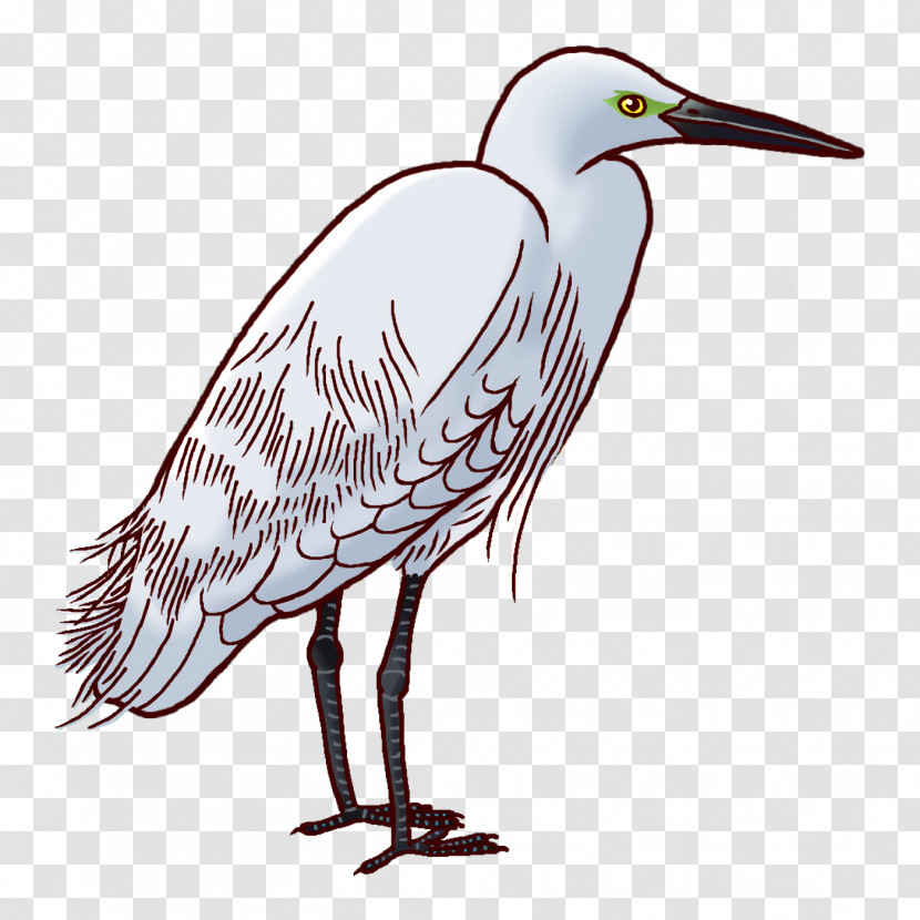 Egret Stork Birds Herons Beak Transparent PNG