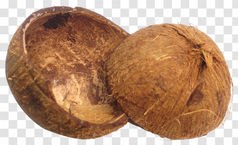 Coimbatore Coconut Sugar Manufacturing Export - India - Egg Shell Halves Transparent PNG