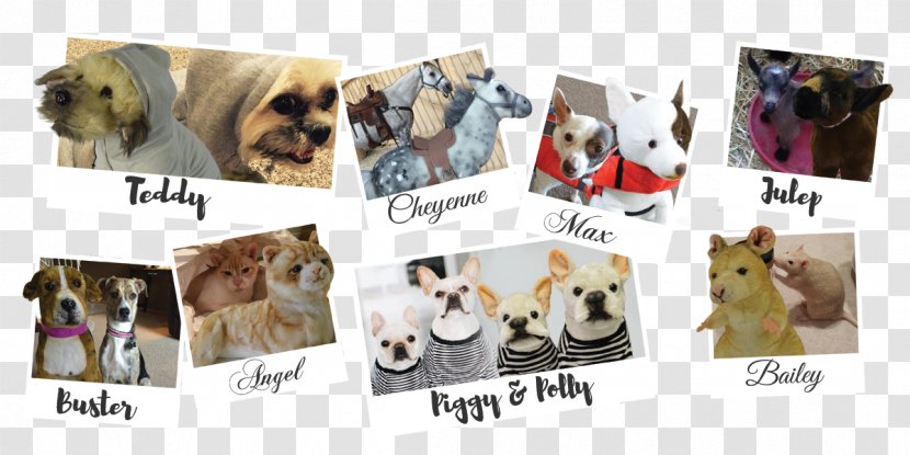 Dog Breed Product Collage - Carnivoran - Stuffed Transparent PNG