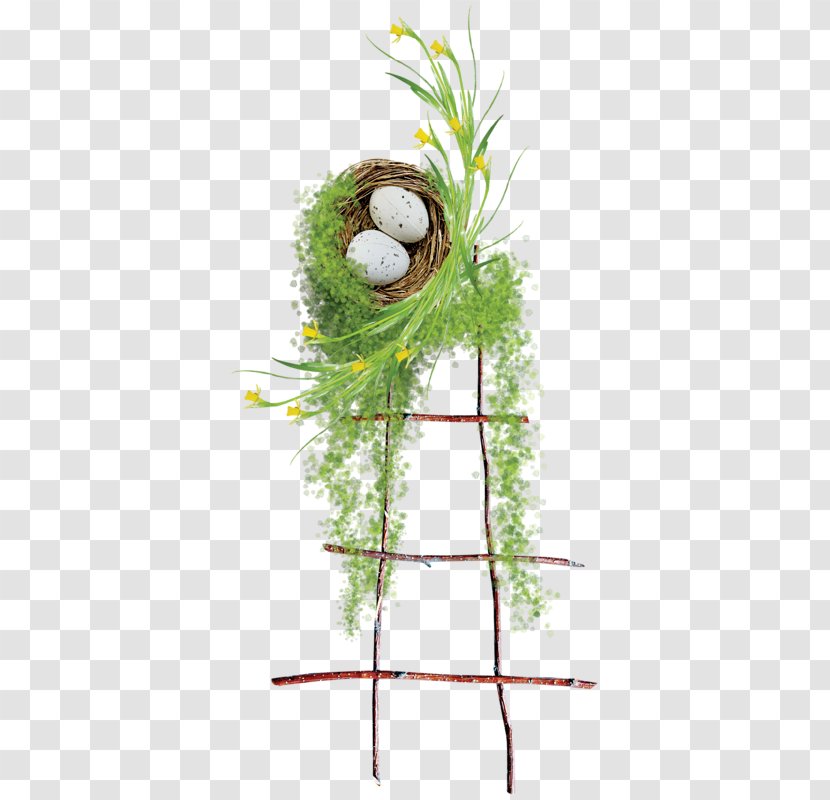 Floral Design Easter - Art - The Ladder Leading To Nest Transparent PNG