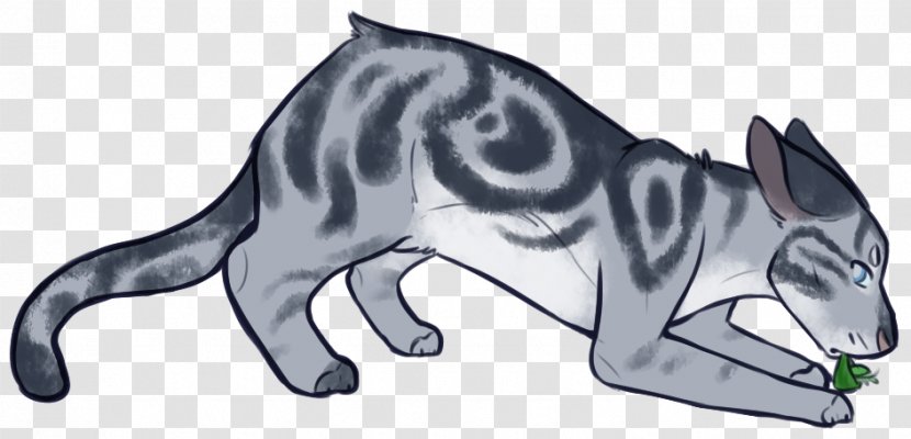Cat Dog Whiskers Jayfeather Red Fox - Line Art Transparent PNG