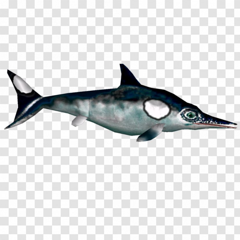 Image Clip Art Rough-toothed Dolphin Download - Food - Aligator Transparent PNG