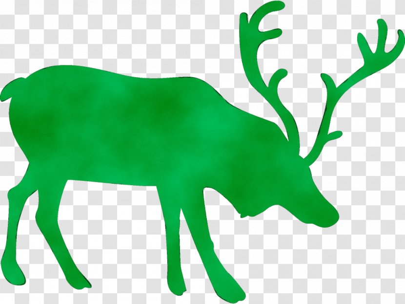 Reindeer - Elk - Horn Wildlife Transparent PNG
