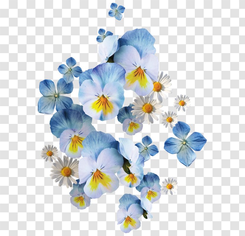 Cut Flowers Floral Design Clip Art - Pansy - Flower Transparent PNG