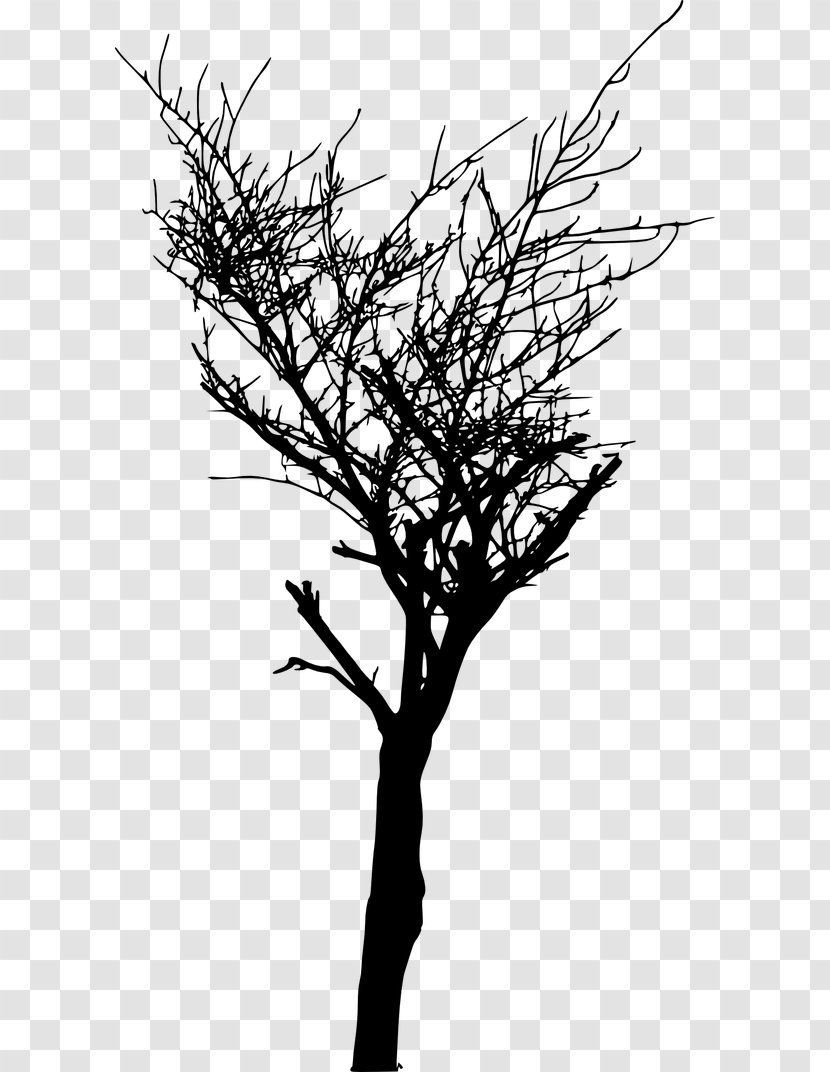 Tree Branch Silhouette - Flower Blackandwhite Transparent PNG