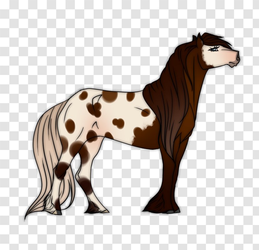 Mustang Stallion Foal Mare Colt Transparent PNG