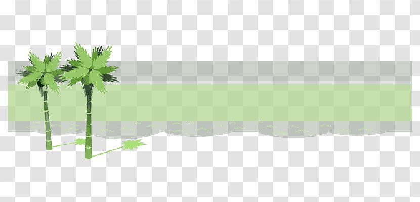 Leaf Product Design Plant Stem Line - Green - Beach Sky Transparent PNG