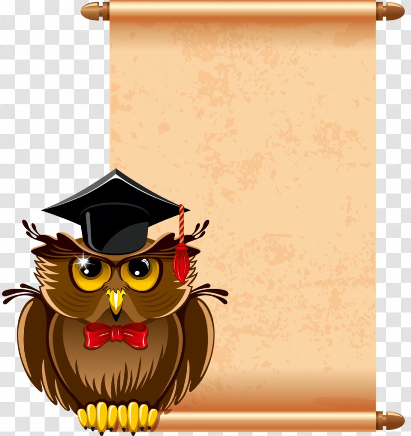 Teacher Royalty-free School Photography Clip Art - Stock - Owl Transparent PNG