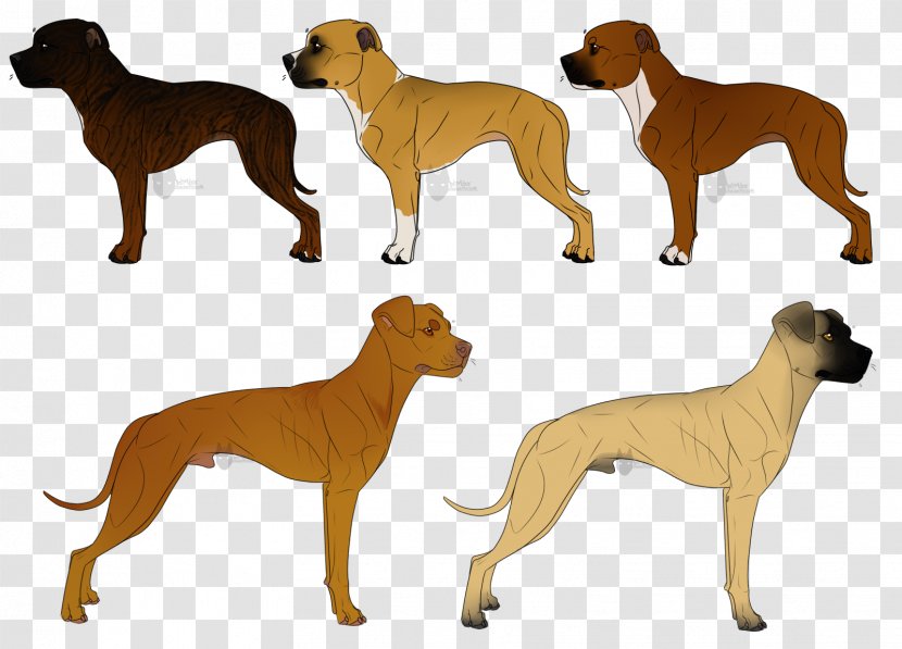 Dog Breed Artist DeviantArt Work Of Art - Okami - Customs Transparent PNG