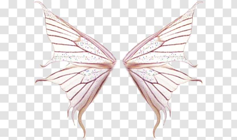 Butterfly - Insect - Creative Pink Wings Transparent PNG