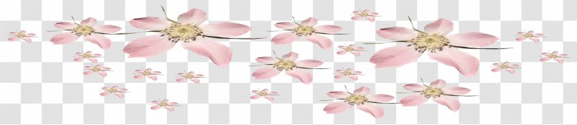 Flower Floral Design Floristry Art Ornament - Pink - Pearls Transparent PNG