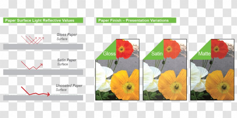 Calendaring Software Petal Paper Computer - Knowledge Base - Double Sided Letterhead Transparent PNG