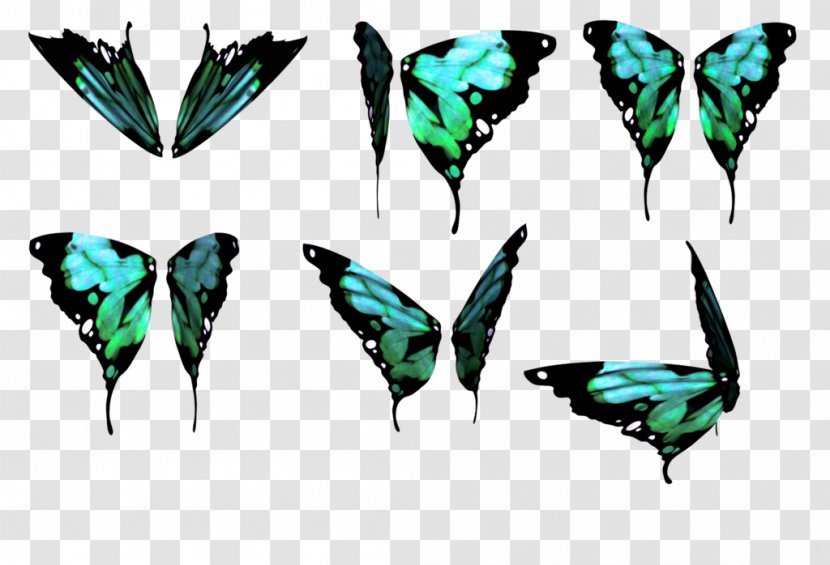 Butterfly Wing DeviantArt Color - Drawing - Buterfly Transparent PNG