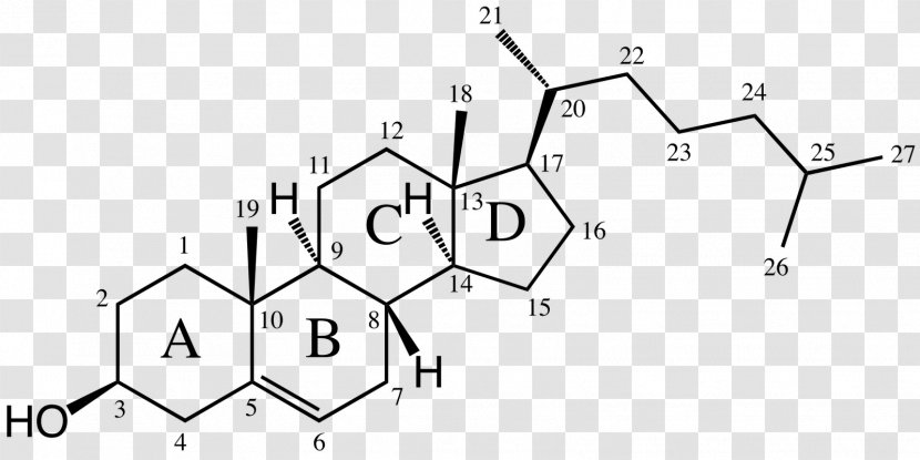 Cholesterol Alkene Dimethylallyl Pyrophosphate Dehydroepiandrosterone - Sterol - Cholestrol Transparent PNG