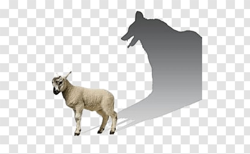 Wolf In Sheep's Clothing Gray Shepherd Herder - Horn - Sheep Transparent PNG
