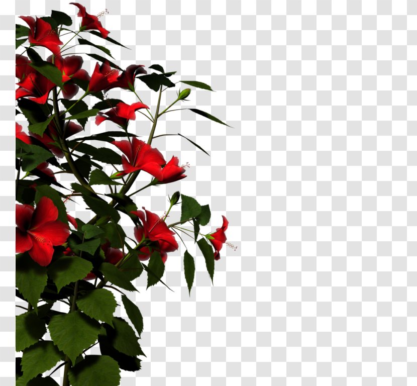 Clip Art Image Vector Graphics Nature - Flower - Animated Plants Transparent PNG