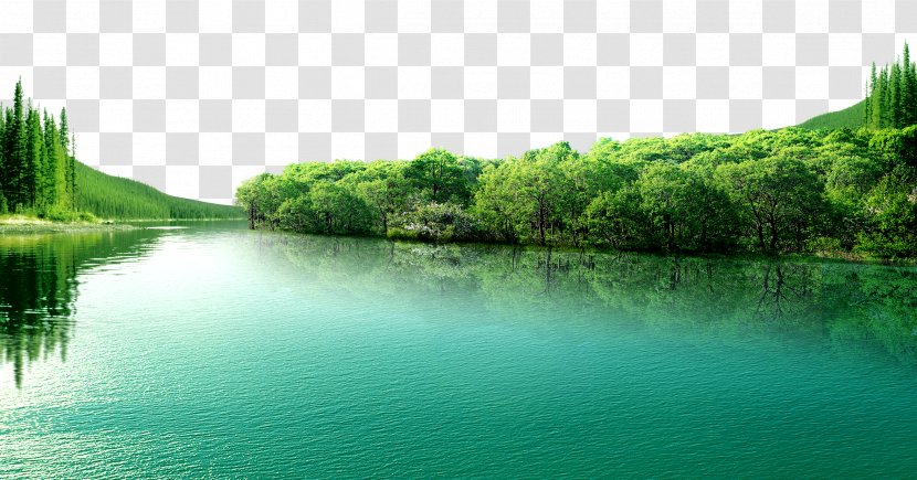 Lake Beautiful Blue - Vegetation Transparent PNG