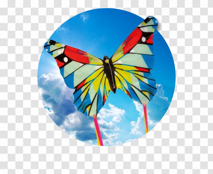 Bali Kite Festival Sport Game Fly - Moths And Butterflies - Handprint Transparent PNG