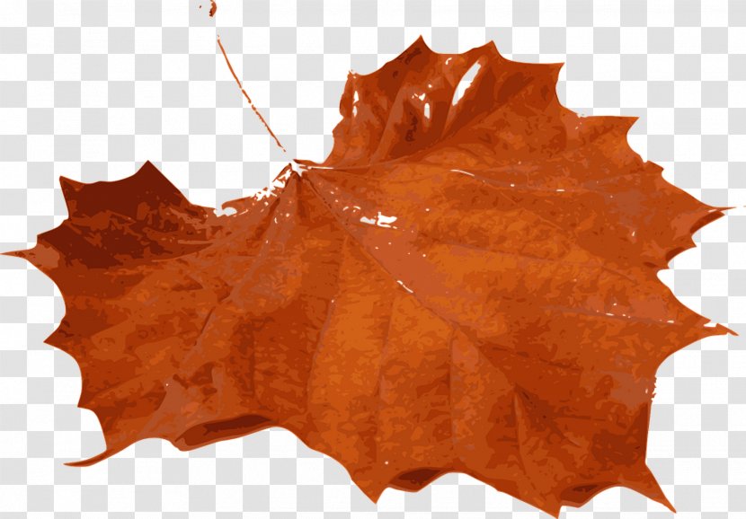 Autumn Leaf Color Clip Art Transparent PNG
