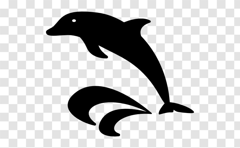 Nature Sea Animals Dolphin - Marine Mammal Transparent PNG