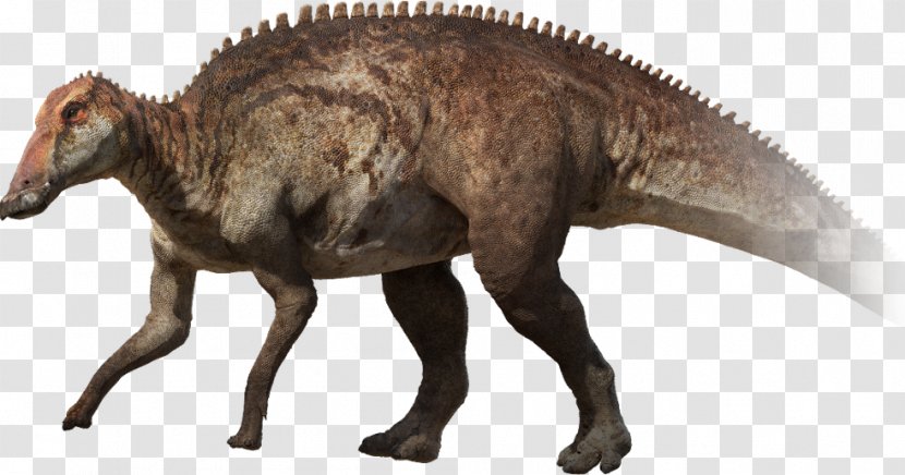 Tyrannosaurus Edmontosaurus Maiasaura Dinosaur Cretaceous - Length Transparent PNG