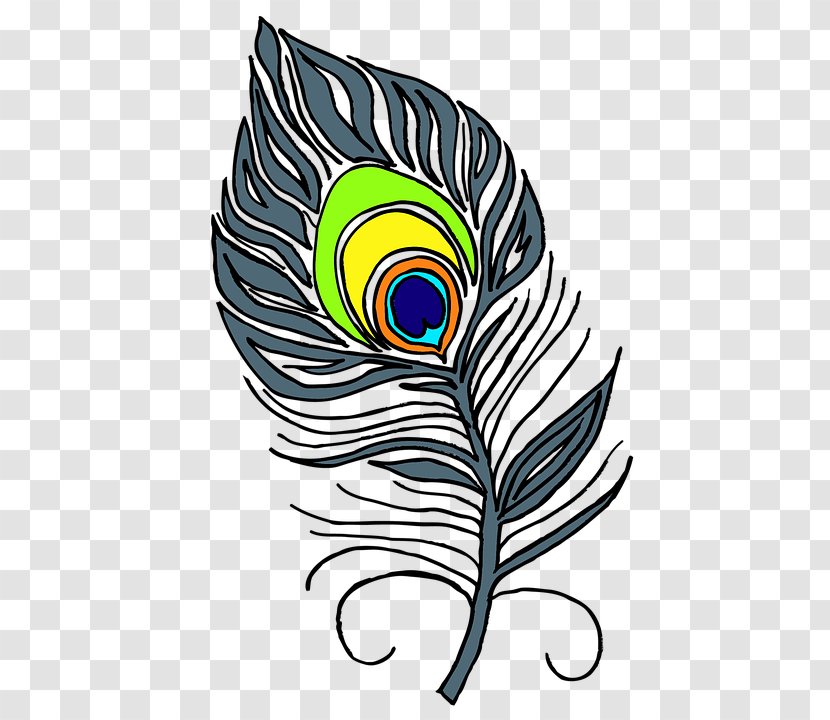 Feather Bird Peafowl Clip Art - Fashion Accessory Transparent PNG