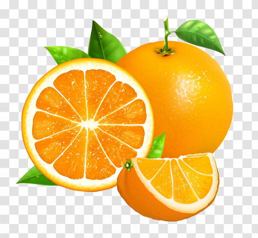 Orange Royalty-free Photography - Mandarin - Grapefruit Transparent PNG