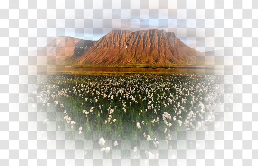 Mount Scenery Water Resources Desktop Wallpaper Computer - Sky Plc - Mountain Landscape Transparent PNG