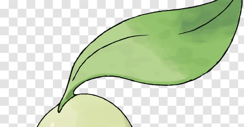 Plant Stem Leaf Clip Art - Food - Pokémon HeartGold And SoulSilver Transparent PNG