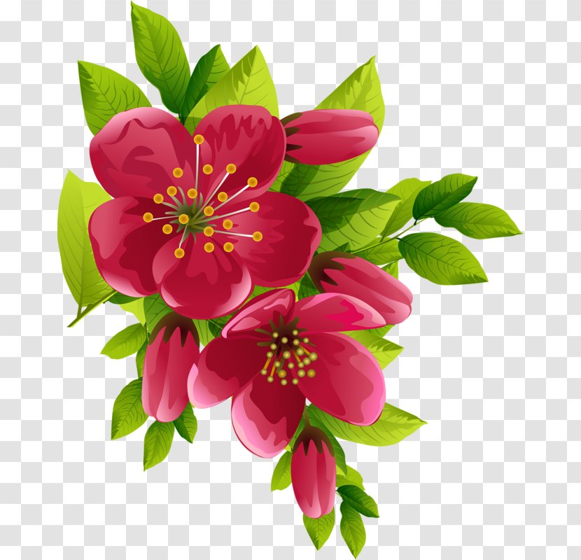 Flower Clip Art - Annual Plant - Watercolor Flowers Transparent PNG