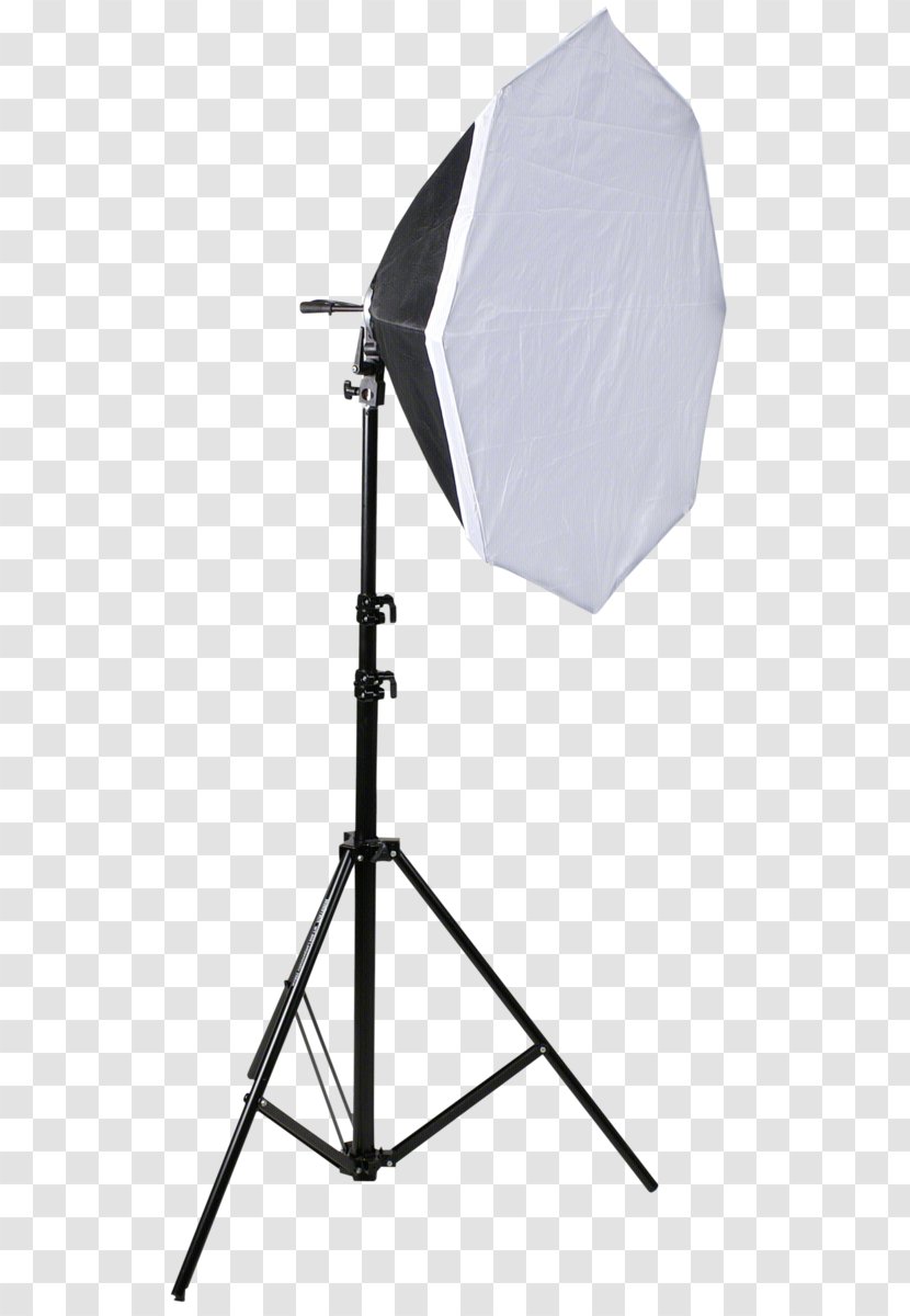 Incandescent Light Bulb Softbox Photography Fotolampe - Camera Flashes Transparent PNG