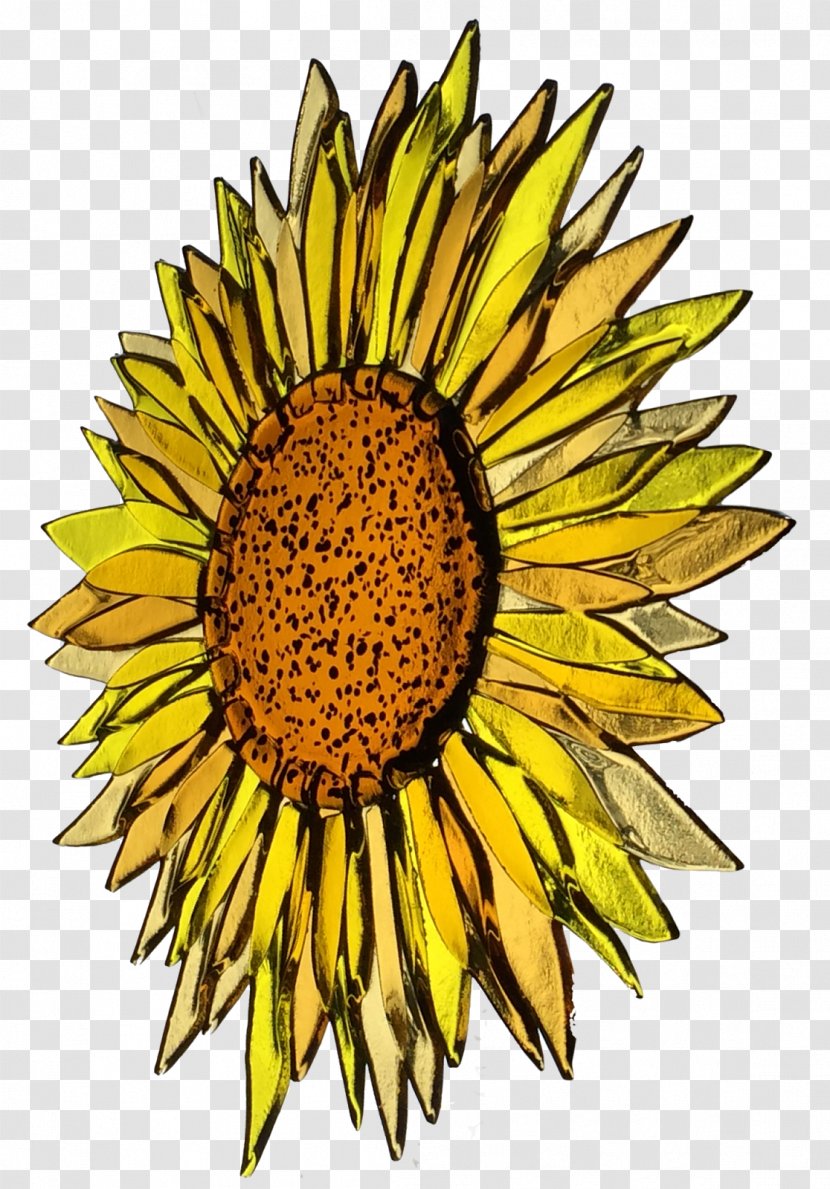 Fused Glass Common Sunflower Fusing Art Slumping - Summer Pattern Transparent PNG
