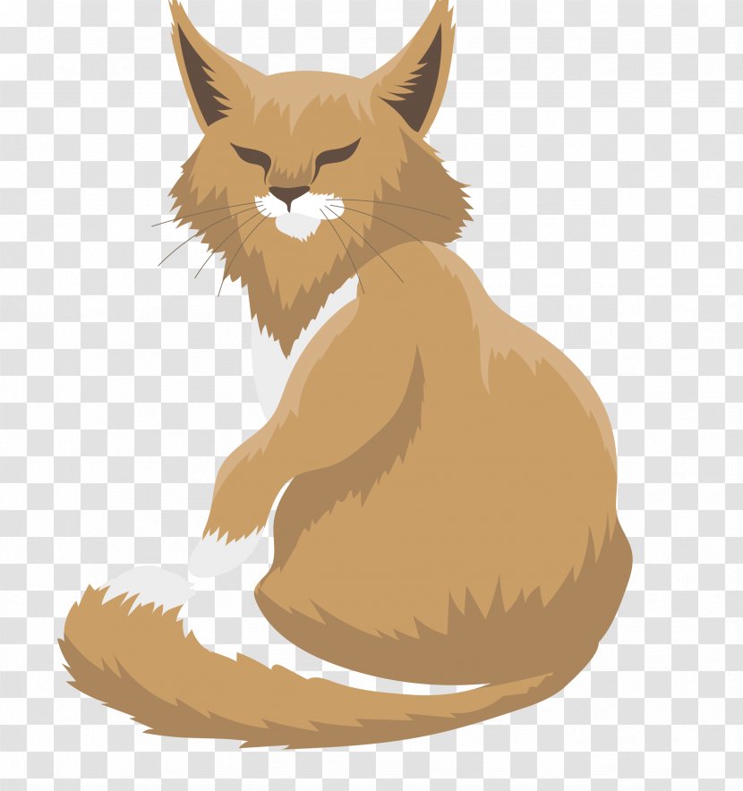 Exotic Shorthair British Siamese Cat Maine Coon Whiskers - Tail - Vector Tiger Transparent PNG