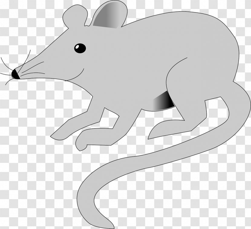 Rodent Mouse Insect Polynesian Rat Animal - Carnivoran Transparent PNG