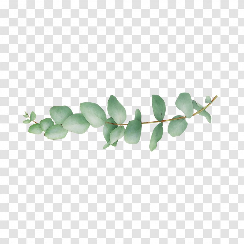 Turquoise - Branch - Flower Transparent PNG