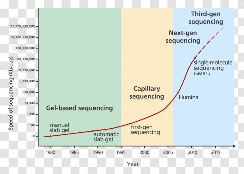 DNA Sequencing Profiling Genome - Technology Transparent PNG