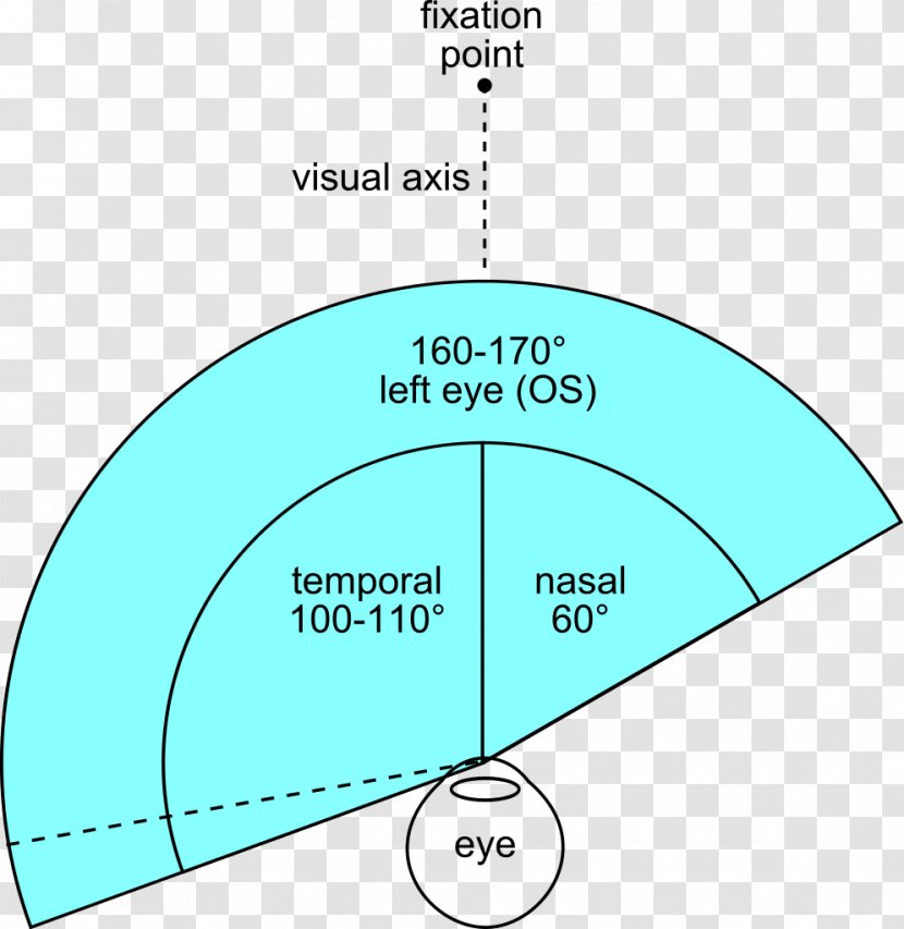 Line Point Angle Diagram - Text - Left Eye Transparent PNG