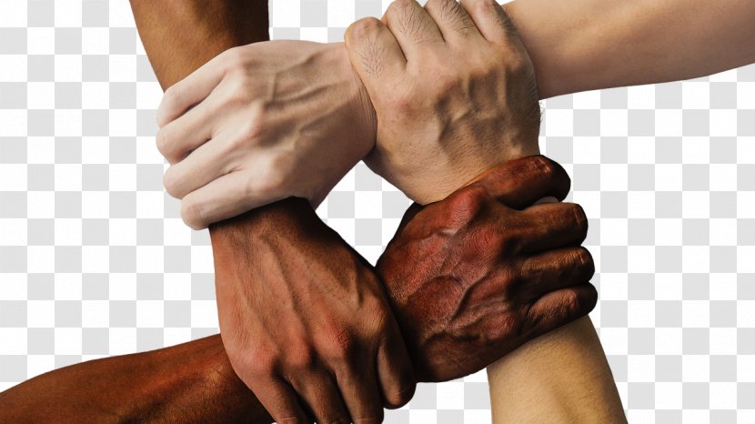 Diversity Multiculturalism Ryerson University United States Company - Wrist - Mental Health Transparent PNG