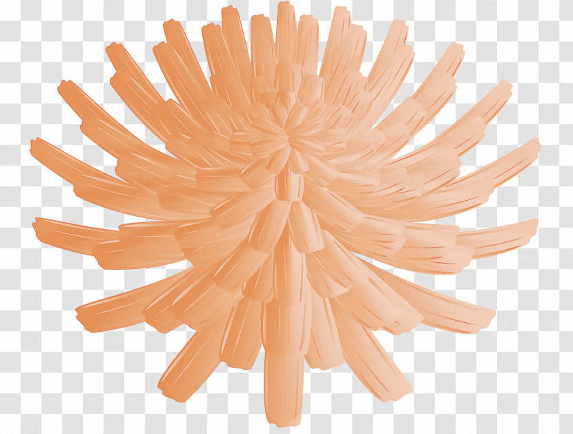 Dandelion Flower Transparent PNG