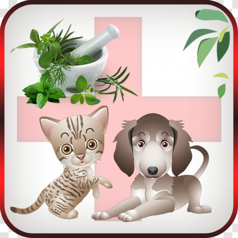 Whiskers Dog Cat Heal With Essential Oil: Nature's Medicine Cabinet Mammal - Like Transparent PNG