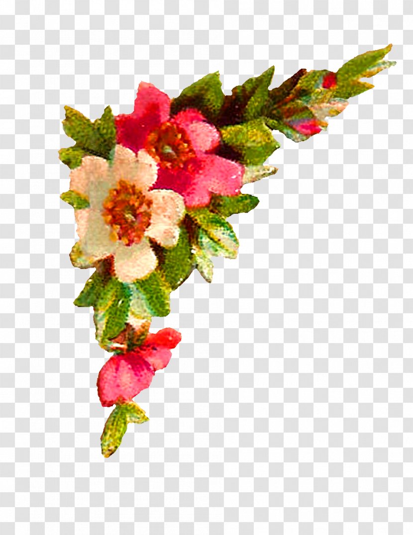 Quran Urdu Dua Islam Hindi - Flower - Peach Transparent PNG