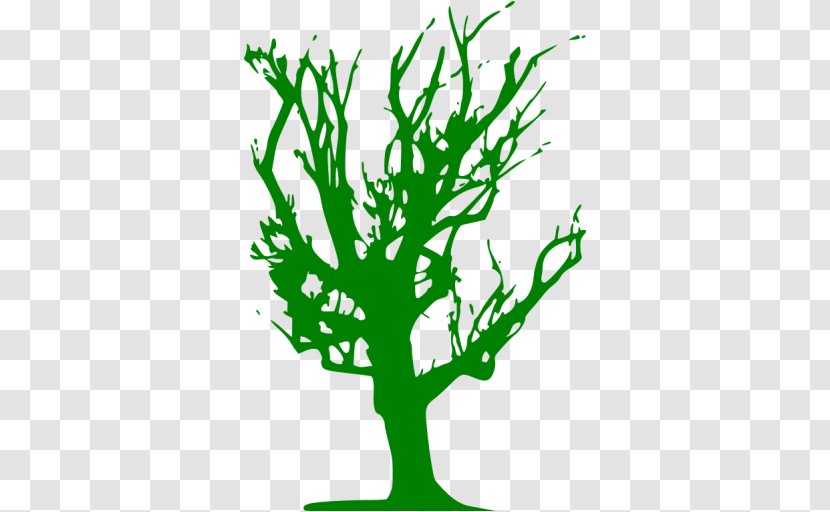 Branch T-shirt Tree Color - Art Transparent PNG