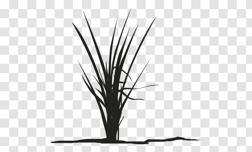 Twig Grasses Plant Stem Leaf Silhouette Transparent PNG