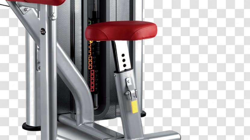 Biceps Curl Bodybuilding Overhead Press Bench - Triceps Brachii Muscle Transparent PNG