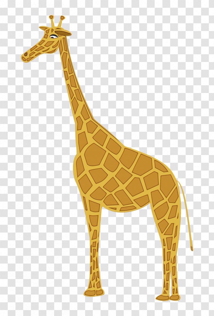 Giraffe Giraffidae Terrestrial Animal Wildlife Figure - Fawn Neck Transparent PNG