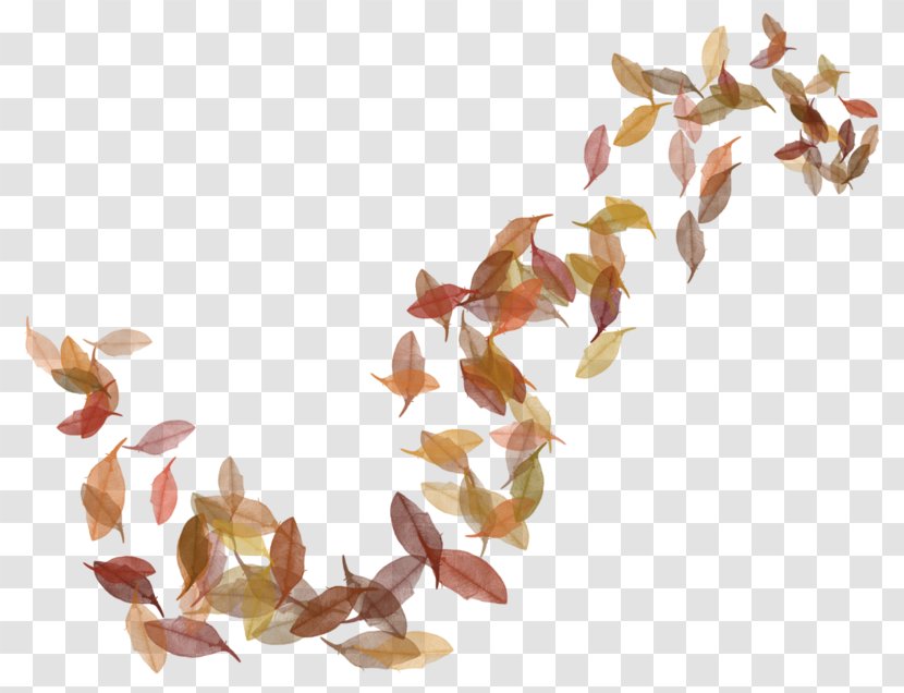 Clip Art Autumn Image Leaf - Color - Fall Backgrounds Leaves Transparent PNG