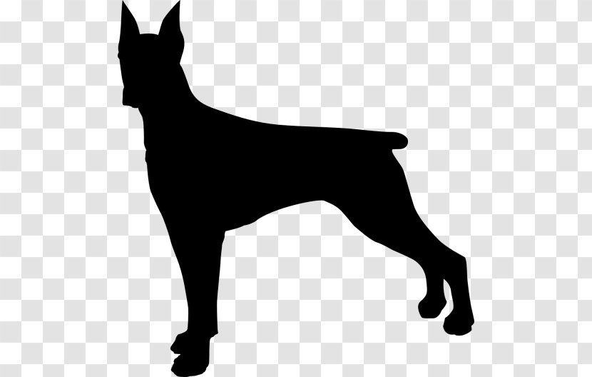 Dobermann Clip Art Rottweiler Silhouette - Vertebrate - Rotwiler Transparent PNG