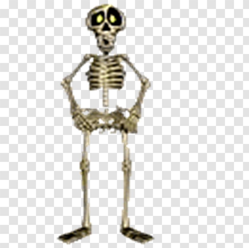 Human Skeleton Animaatio Bone - Homo Sapiens Transparent PNG