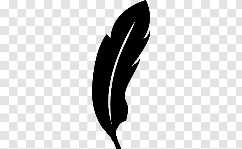 feather vector png